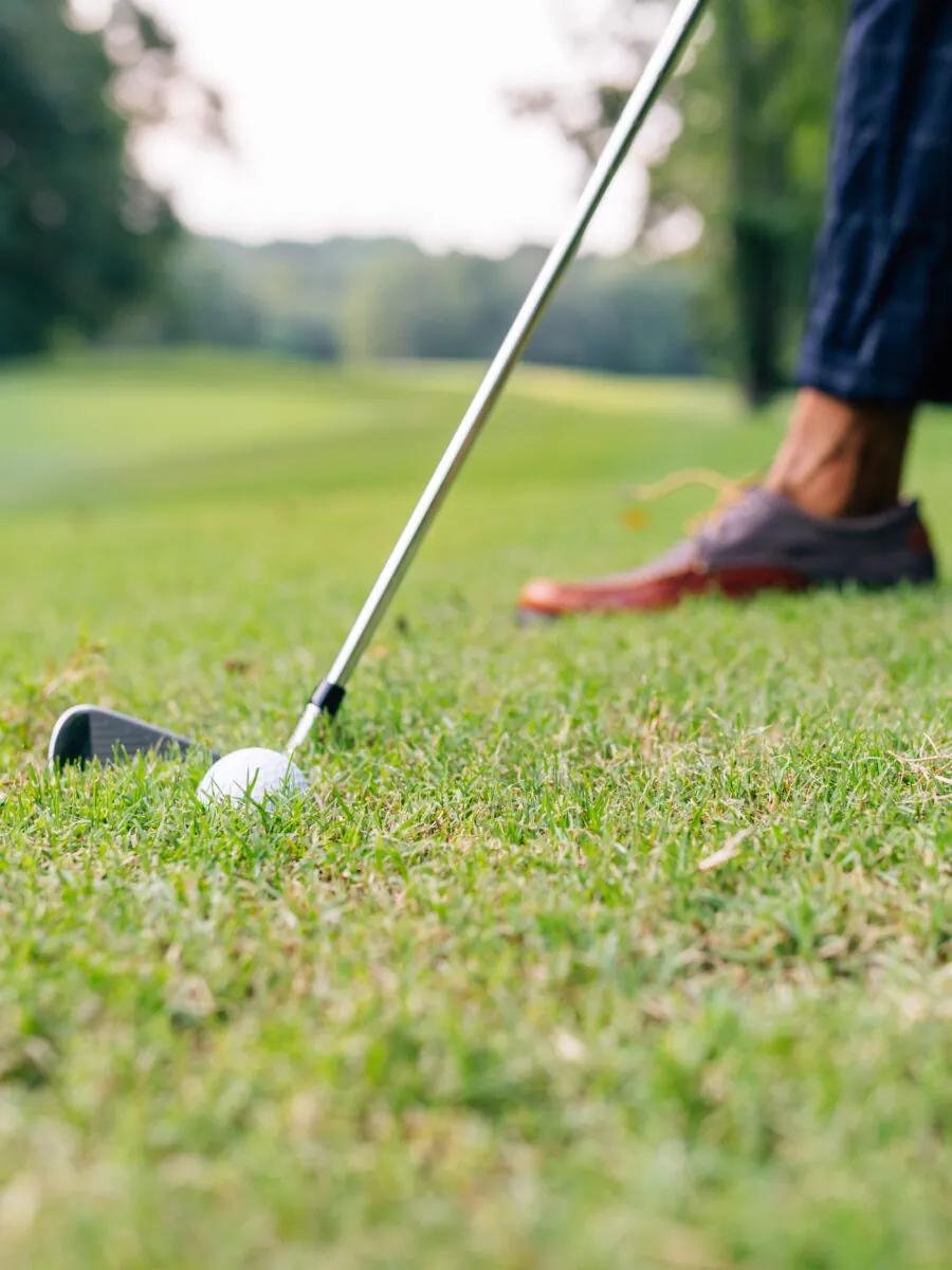 A golf club is positioned to hit a golf ball on a grassy fairway.