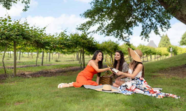 Three women having a picnic on the grass in a vineyard.