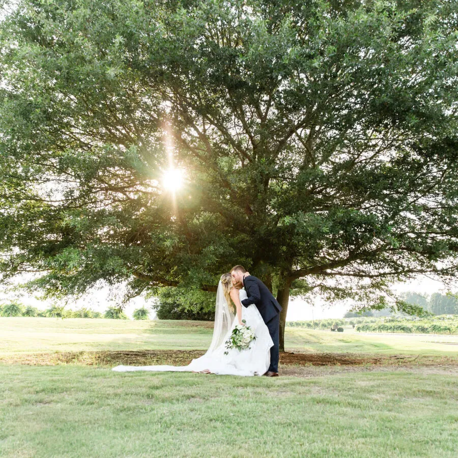 A bride sitting on a bench under a large tree with light shining on her.