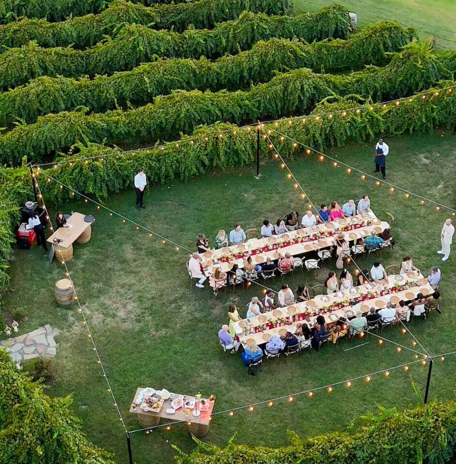 An aerial view of an outdoor dinner party in a vineyard. Long tables are set up between rows of vines, lit with string lights.