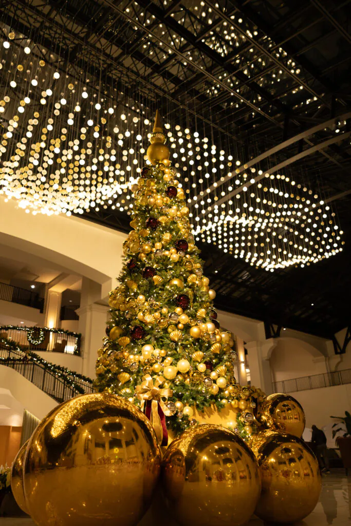 Christmas tree at Binbilla